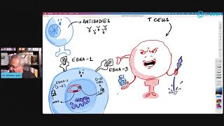 Epstein Barr Virus (EBV) Serology