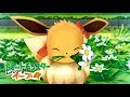 【ピカブイ】チャンピオン戦＆殿堂入り！ エンディング【ポケモン Let's Go! イーブイ】