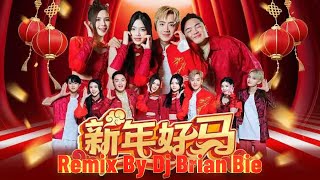 Xie Nian Ge 新年歌 2026 Xin Nian Hao Ma - 新年好马 ✘ What You Say ✘ Da Tuan Yuan Melody By Dj Brian Bie #dj