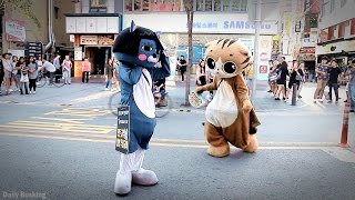 DANCE BATTLE  Garfield VS Blue Cat