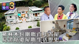 香港奇則3 ｜EP1 PT1｜ 被林木包圍嘅百年古屋 見證姑婆屋嘅生活歷史 ｜ 李尚正 ｜ 蝦頭 ｜ 設計 ｜ 理想生活 ｜ 奇則 ｜ 裝修 ｜ 建築 ｜ HOY 77