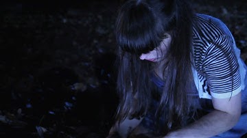 vrijwerk-Jurgen Geevels-Videoclip