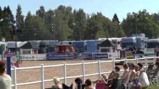 CotY 2015 Grevagården Calvin M 130 kval 2 20150821