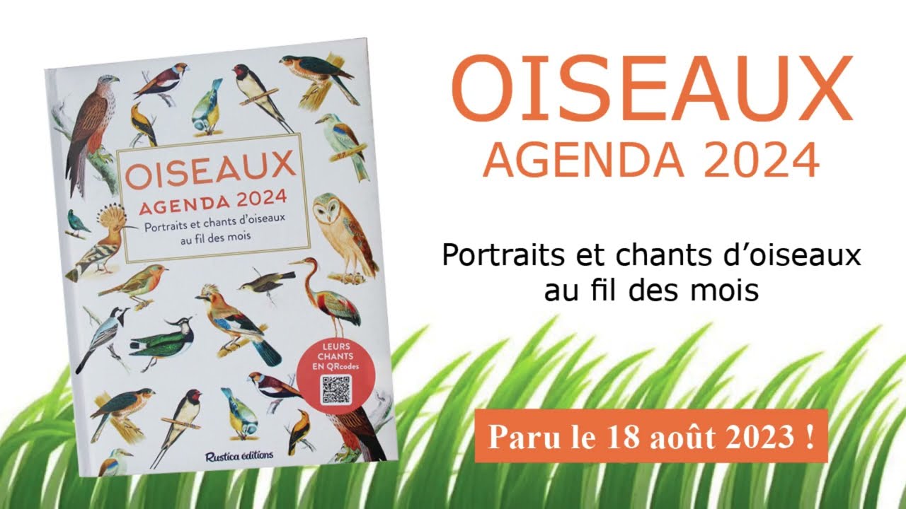 Idée Cadeau : Oiseaux Agenda 2024 / Portraits et chants d'oiseaux au fil  des mois (avec Qrcodes) 