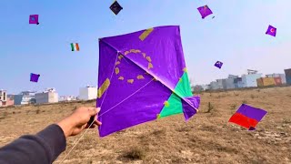 Looting Kites On Ground Kite Catching Kite Lootere Kite