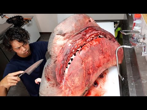 人喰いザメの頭を『骨』だけにしてみると・・・