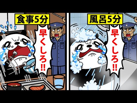 【刑務所よりキツい】警察学校に入るとどうなるのか？【アニメ】