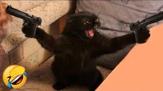 Funny Cats \ Funny Dogs \ Funny Animals 2023 \ Cute animals