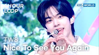 [1HR LOOP🔥] TWS - Nice to see you again (Korean Ver.) [Music Bank] | KBS WORLD TV 260213