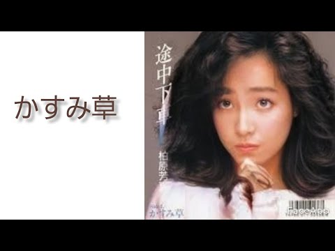 柏原芳恵プレミアムBOX～かすみ草