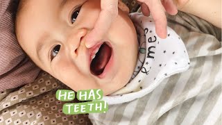 9 month baby update, he can walk! | #SKYfam