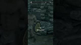 Whiterun Guard is looking to get his sword enchanted #skyrim