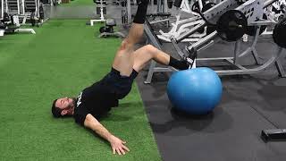 Swiss Ball Leg Curl - Accentuated Eccentrics Net Worth