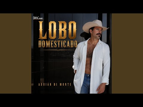 Lobo Domesticado