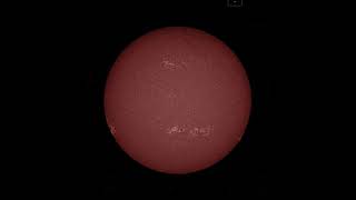 SDO sees sunpot region AR12786