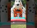 Dalmatian Dog Bouncy Castle Bounce House Fun Dalmatian Dog Bouncy Castle Bounce House Fun