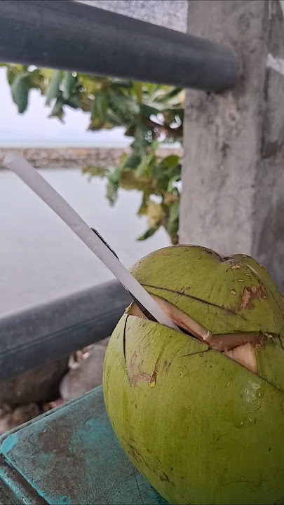 Ngonten sambil ngadem di pinggir Pantai Ulee Lheue? Yes please.. #bandaaceh #pantai #jalansore