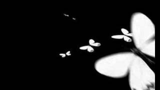 butterfly animation test