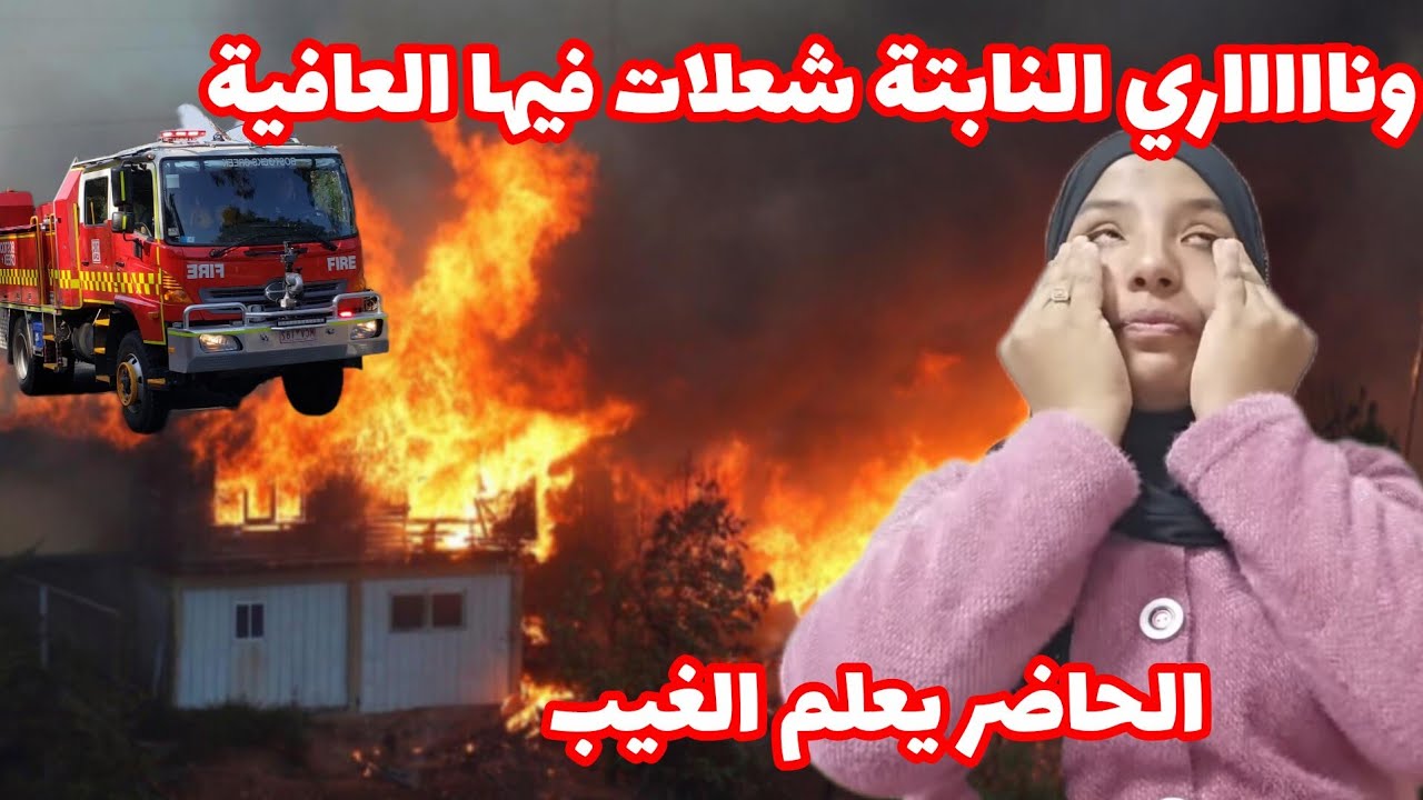 😱 عاااااجل😱 هذا الشيء شويه من بزاف ام زيتونات 🚨 خودي على قلبك 📢