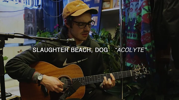 Slaughter Beach, Dog - Acolyte | Audiotree Far Out