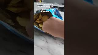 Я уверен что даже 50 лайков не будет @ #тренд #прикол #юмор #kitten #cat #lays