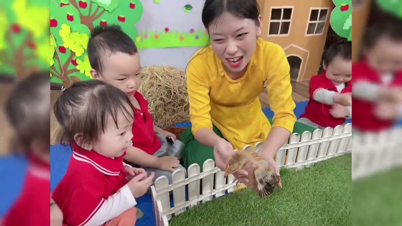 Hội Giảng 2025 - Nhận biết tập nói “Con gà con” ( cô Kiều) MN Ánh Dương