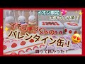 【バレンタイン】イオン限定！可愛いチョコレート缶！ミッフィーも♡