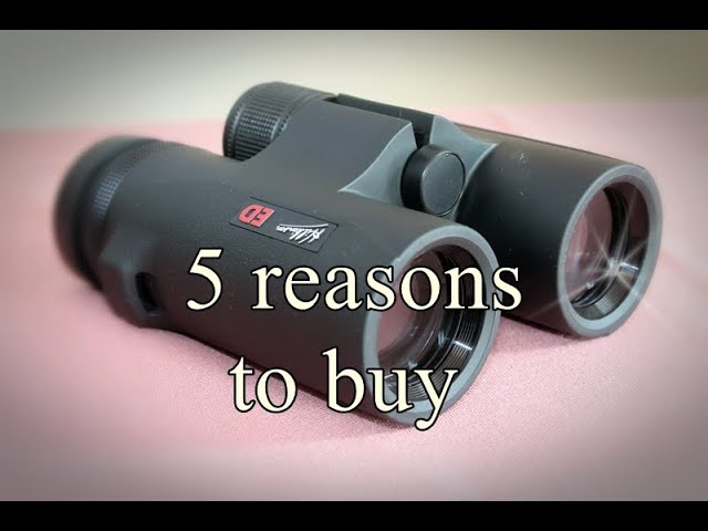 Are Ed Binoculars Used by Scientists? Discover the Truth!