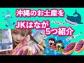 【沖縄県】沖縄お土産をJKはなが5つ紹介【ハイサーイ】