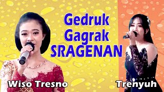 Sragenan WISO TRESNO & TRENYUH // Zelinda Campursari