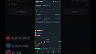 Pippin Crypto Futures Trading Binance bitcoin ethereum crypto altseason