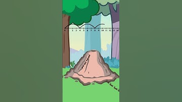 Meet the Math Drills Multiplication | Skip Count by 4