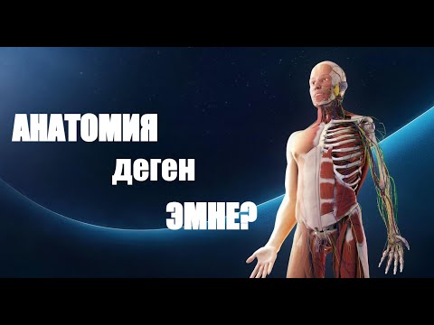 Video: Анатомия жана физиология эмне үчүн мынчалык кыйын?