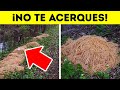 10 Cosas extrañas que la gente encontró y que desconcertarían a cualquiera