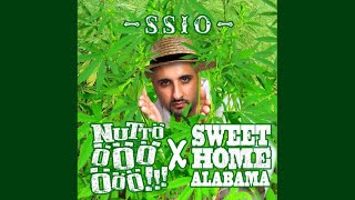 SSIO - Nuttööö x Sweet Home Alabama (3 Parts + Hook) [Nighz Mashup]