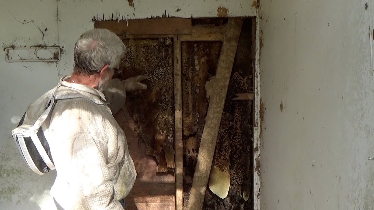 The bees were dug in deep!