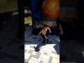 Танцор Диско