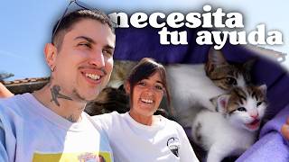 fui a ver a mi amiga del insti y casi no puedo irme sin llorar