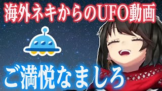 【ホラー注意】海外ネキのUFOにご満悦なましろ【にじさんじ/ましろ/切り抜き】