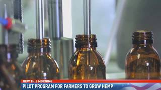 Pilot progrm for Alabama farmers to grow hemp - NBC 15 News WPMI
