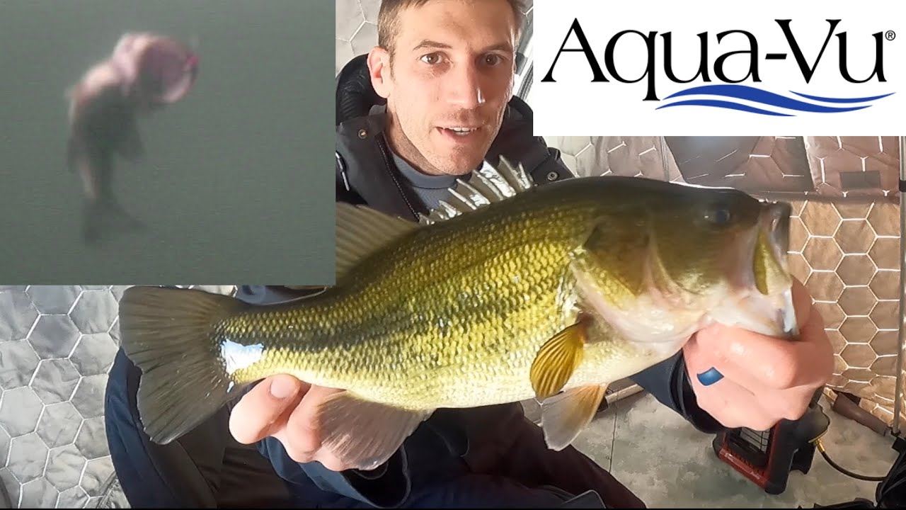 Underwater camera fishing! YouTube