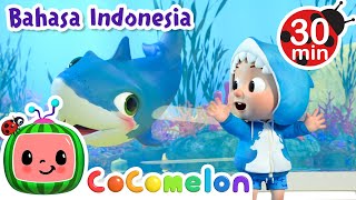 🦈Baby Shark dan Kapal Selam🦈 | CoComelon Bahasa Indonesia - Lagu Anak Anak | Nursery Rhymes