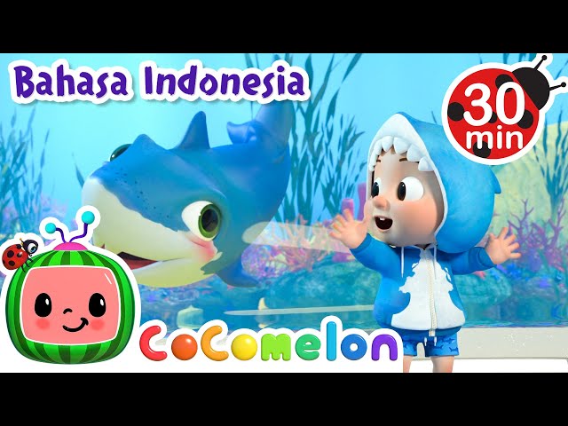 🦈Baby Shark dan Kapal Selam🦈 | CoComelon Bahasa Indonesia - Lagu Anak Anak | Nursery Rhymes class=