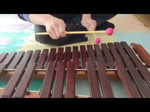 【木琴】愛は勝つ(自己満木琴)