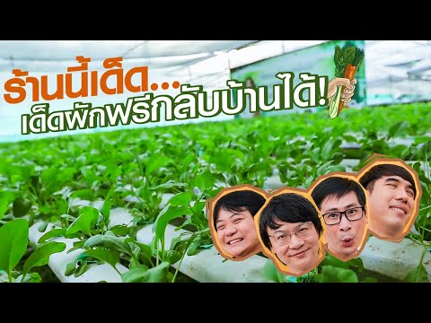 Home fresh Hydro farm
