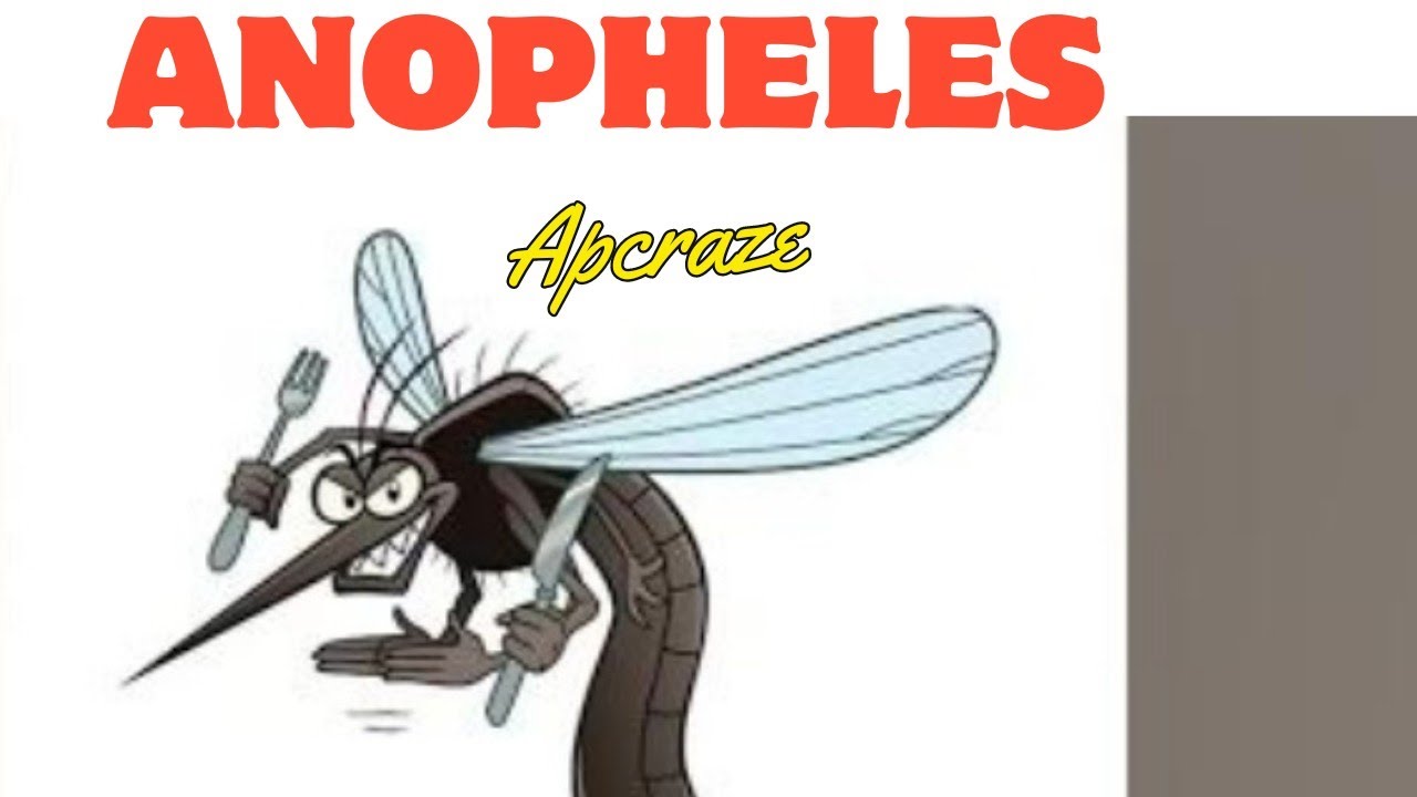 01 - Anopheles - Nature matters EP | Music - Apcraze