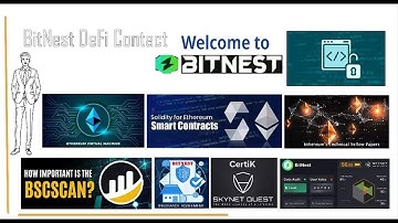 BitNest DeFi Contact | Hệ sinh thái Smart Contract & Blockchain Audit
