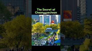 🇰🇷The hidden secret of Cheonggyecheon stream #seoultravel
