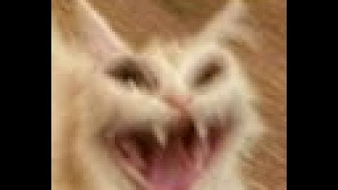 STG 17 GRANDMASTER NOOB ROTATION