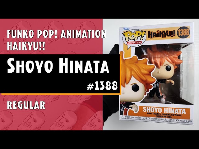 Funko Pop Shoyo Hinata - 1388 - Haikyu!! // Just One Pop Showcase 